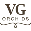 VG Orchids logo