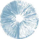 Microdosing Institute logo