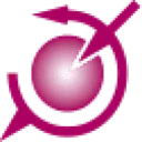 Delft Solids Solutions B.V. logo