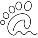Fins AND Feet Nature Tours logo