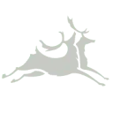 Living by Nature logo