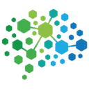De Breinregisseur logo