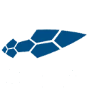 DenimX logo