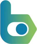 Brigit Software B.V. logo