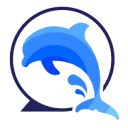 IT Dolphins BV logo