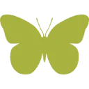Van Aetsveld logo