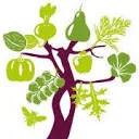Voedselbos Benthuizen logo