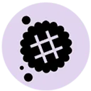 Doublesmart logo