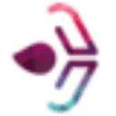 Synapse Group Maastricht logo