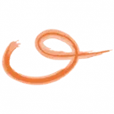 Stichting AURO logo