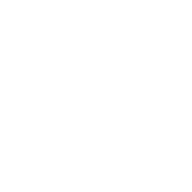 Pluq Studio logo