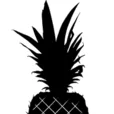Pineapple Design AND Styling logo