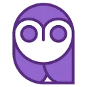 MindWise Agency logo