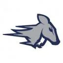 HSV The Stags logo