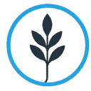 Career and Culture NL Stichting logo