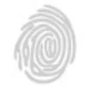 Van Koningsbergen logo