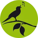 Openluchttheater Eibergen logo