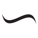 The Flying Dutchmen® Media logo