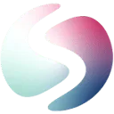 Savvy Department logo