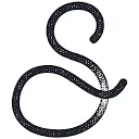 Schols Schoenmode logo