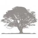 Bio Sac 200 logo