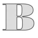 BONTE In AND Outdoor Decoration logo