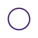Gideon Security B.V. logo