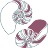 Centrum voor Transitie logo