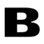BNT Beveiligingen logo