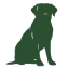 Dogs Talk Hondentraining AND Gedrag logo