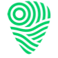 Festival Travel logo
