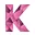 Studievereniging KIC logo