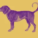 FlevosWeelde logo