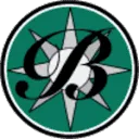 Blomson International B.V. logo