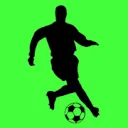 INTERSCOUT logo