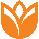Holland Acumen logo