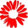 New Amsterdam Film Company logo