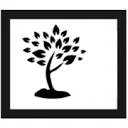Bucare Consultancy logo