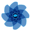 Brain-Fit logo