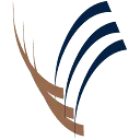 VLM Accountants AND Adviseurs logo