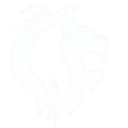 DutchMSP logo