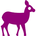 Rewilding Europe logo