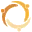 Quo Vide logo