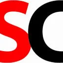 Solowski Consultancy BV logo