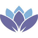 DNS Solutions logo