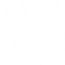 NAUD Group logo