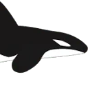 OrcaCare logo