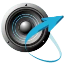 intosurround logo