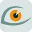 SeenIT Solutions logo