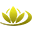 West Flora Export B.V. logo